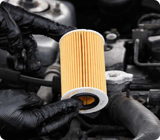 Routine oil and maintenance service